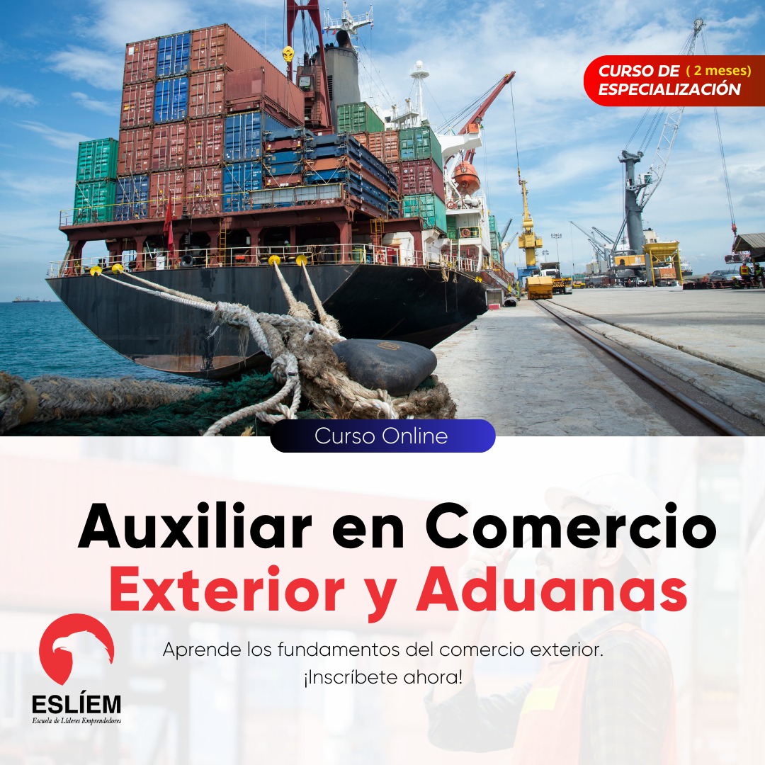 Auxiliar en Comercio Exterior y Aduanas 8.0 2024