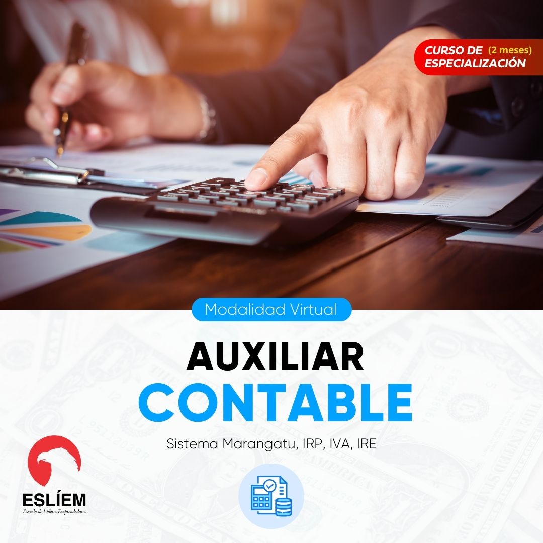 Auxiliar Contable 5.0 Online 2024